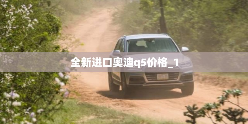 全新进口奥迪q5价格_1