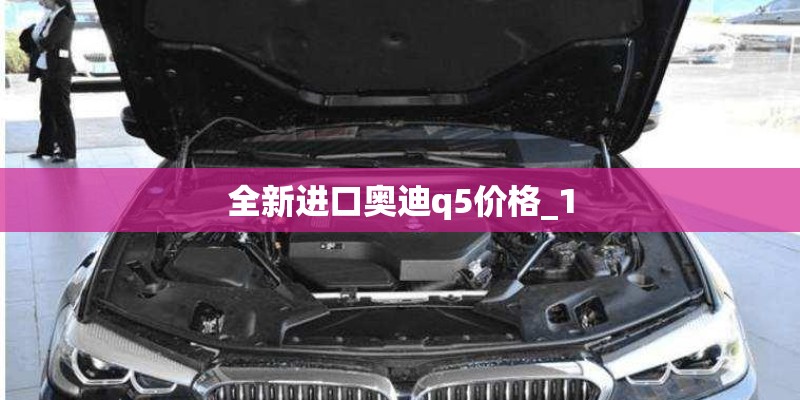 全新进口奥迪q5价格_1