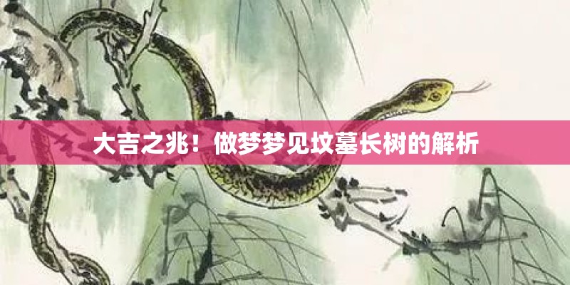 大吉之兆！做梦梦见坟墓长树的解析