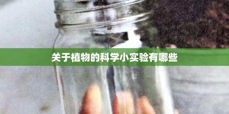关于植物的科学小实验有哪些