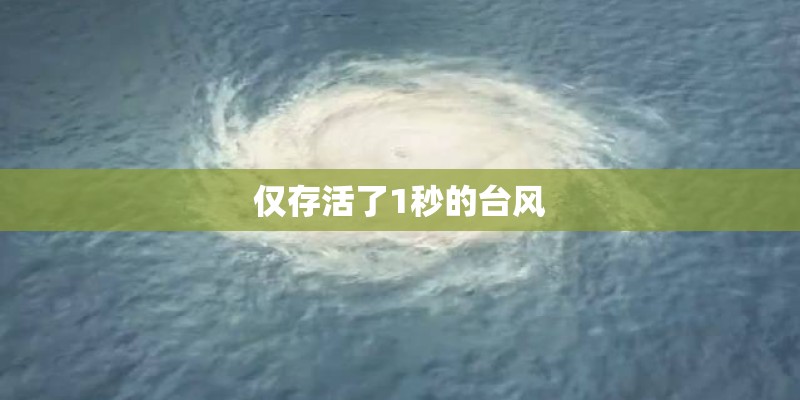 仅存活了1秒的台风 仅存活了1秒的台风