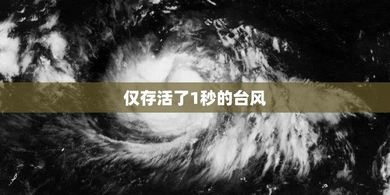 仅存活了1秒的台风 仅存活了1秒的台风