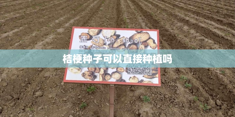 桔梗种子可以直接种植吗