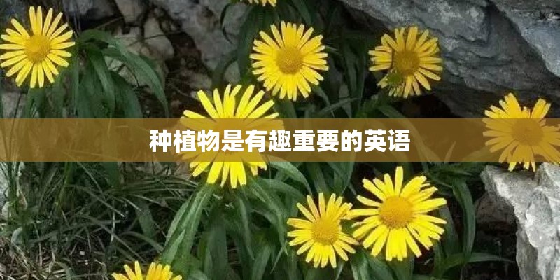 种植物是有趣重要的英语