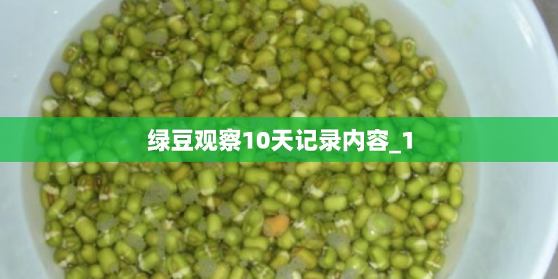 绿豆观察10天记录内容_1 绿豆观察10天记录内容_1