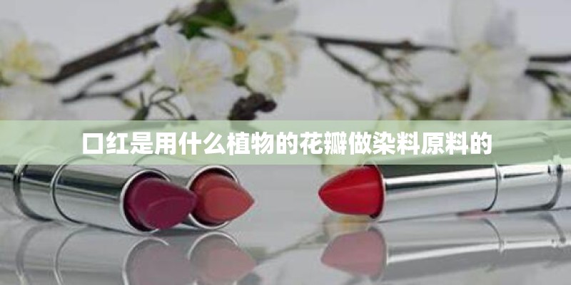 口红是用什么植物的花瓣做染料原料的