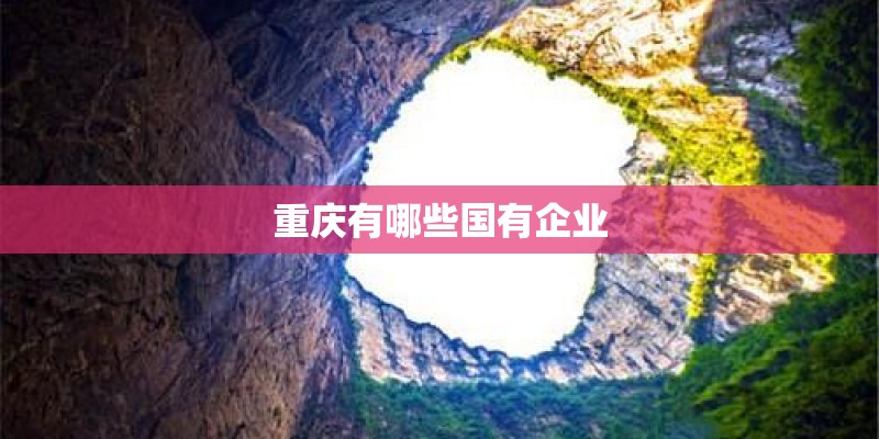 重庆有哪些国有企业