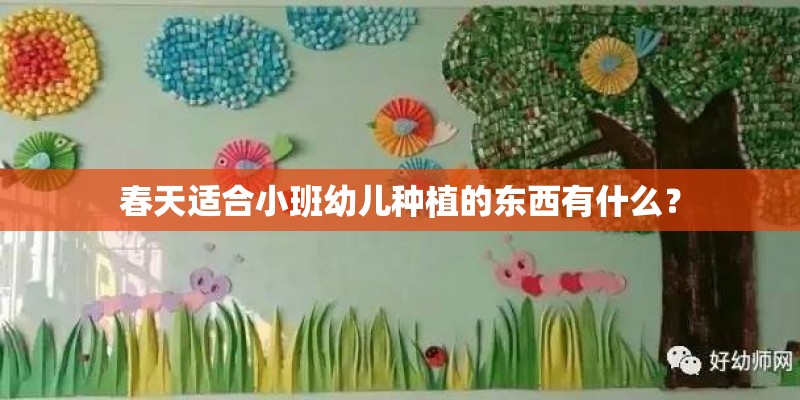 春天适合小班幼儿种植的东西有什么？
