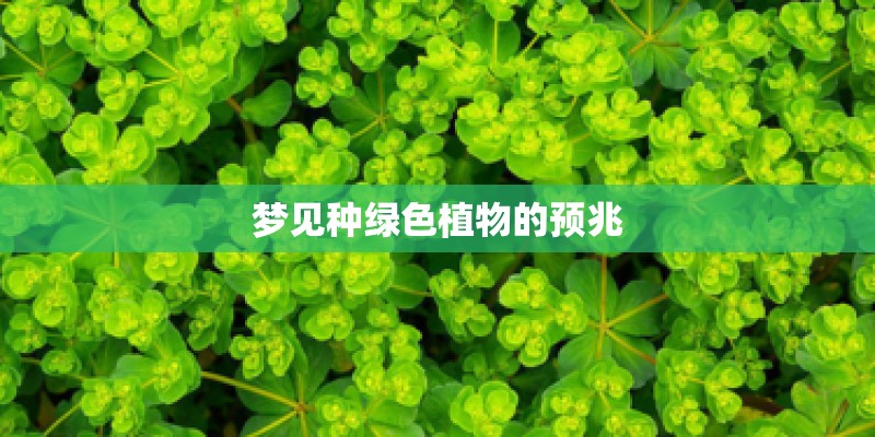 梦见种绿色植物的预兆