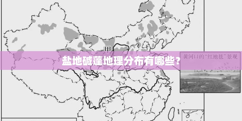 盐地碱蓬地理分布有哪些? 盐地碱蓬地理分布有哪些?