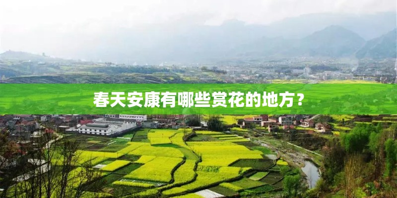 春天安康有哪些赏花的地方？