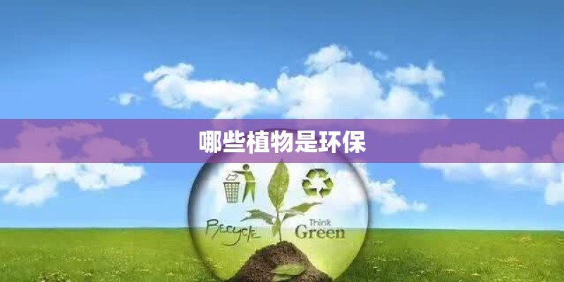 哪些植物是环保